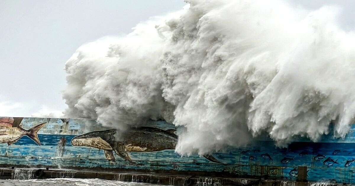 Taiwan battered by horror super-typhoon as 'biggest storm for 30 years' brings chaos