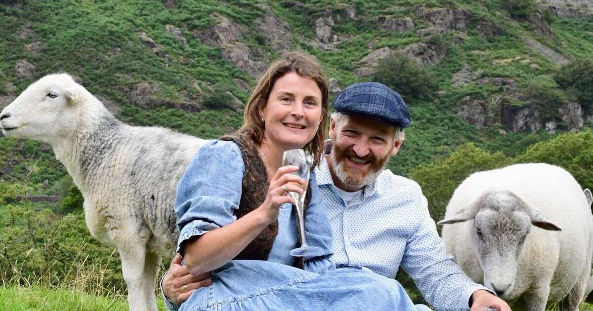 Happy couple tie the knot - with sheep that sparked their romance