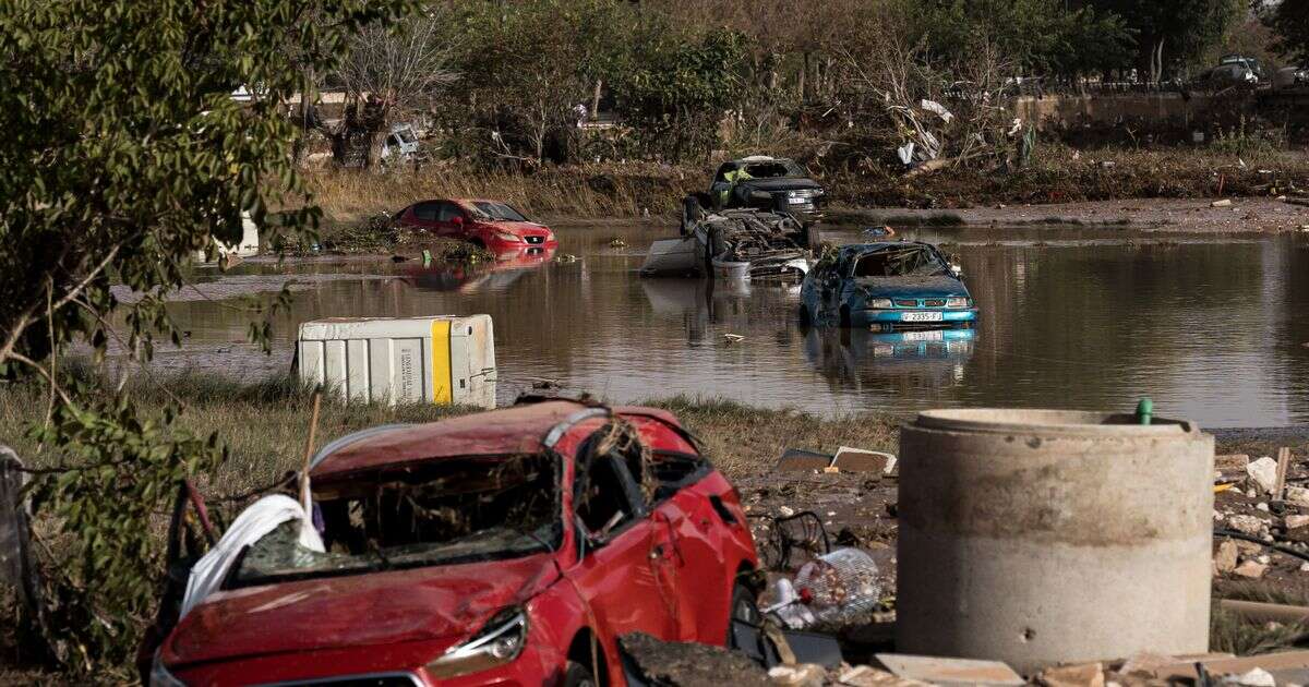 Valencia flooding: Couple 'thought world was ending' as they sheltered from deadly floods on shelf