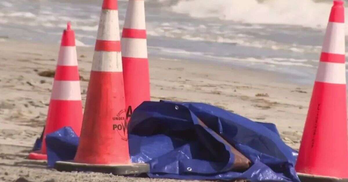 Human head washes up on Florida tourist beach in front of terrified worker