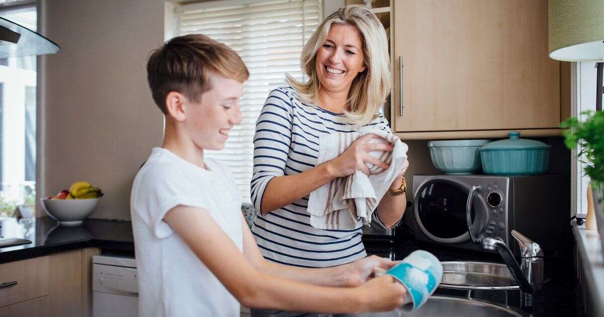 I turned to a family chores smartphone app to nudge my kids to help at home