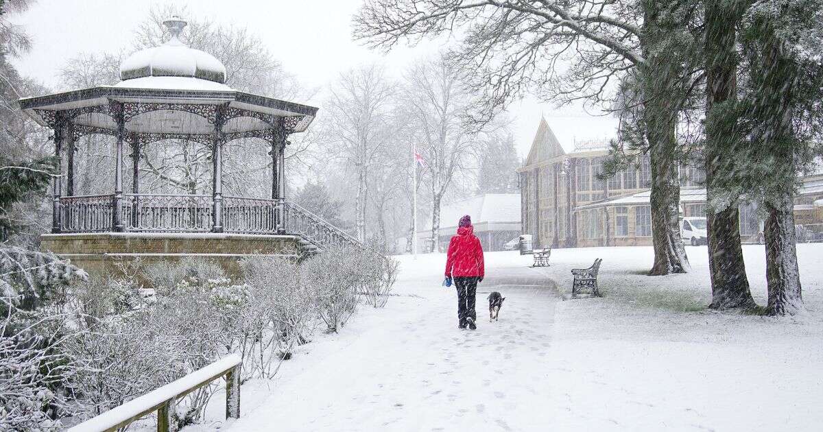 UK cold weather: Exactly where and when snow maps turn icy blue with -4C freeze