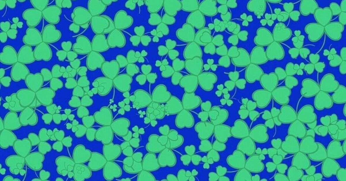 Almost no-one can spot hiding four-leaf clover as 15 second time limit blasted