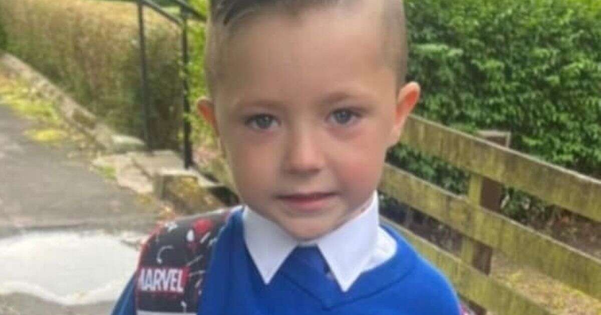 XL Bully dog attack leaves boy, 5, with horror injuries and screaming when he sees his new face