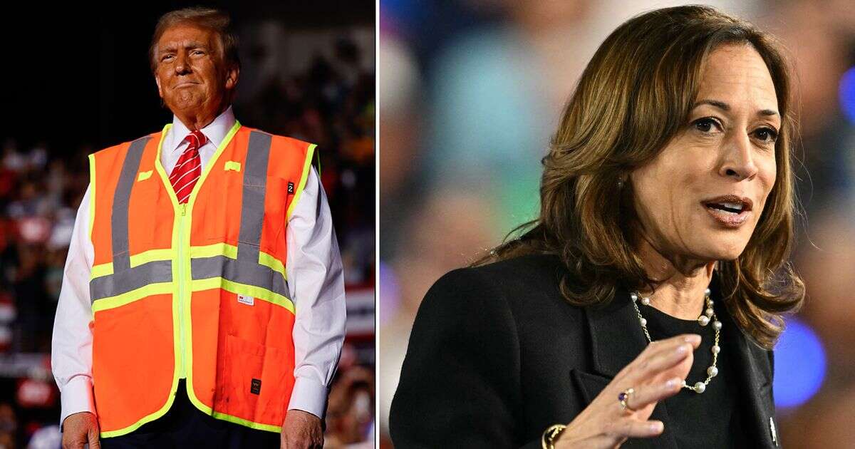 Kamala Harris taunts Donald Trump at US election rally as crowd chants 'lock him up'