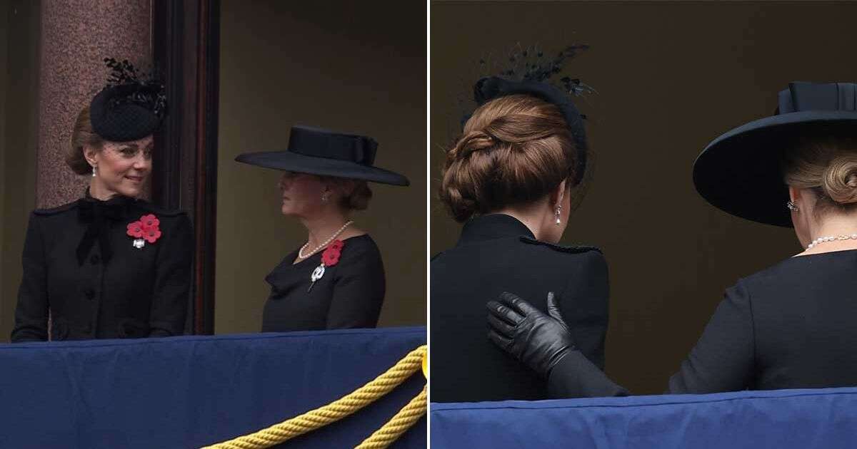 Kate Middleton comforted by Duchess Sophie as she steps in for Queen Camilla at Remembrance