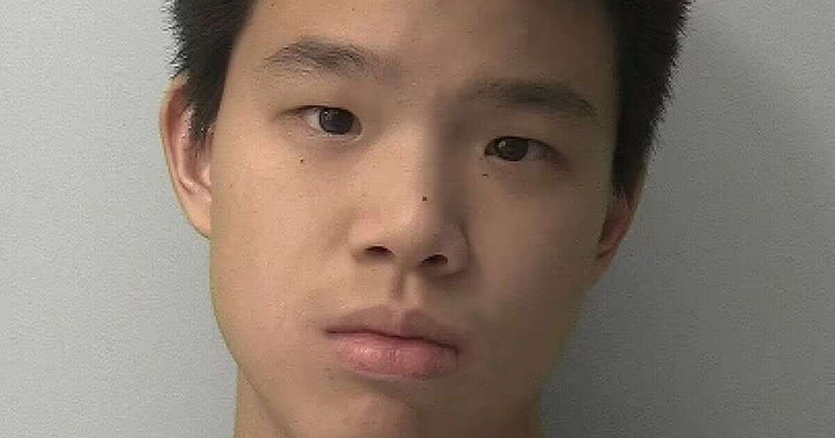 Blundells School 'zombie apocalypse' hammer attacker Thomas Wei Huang unmasked by judge