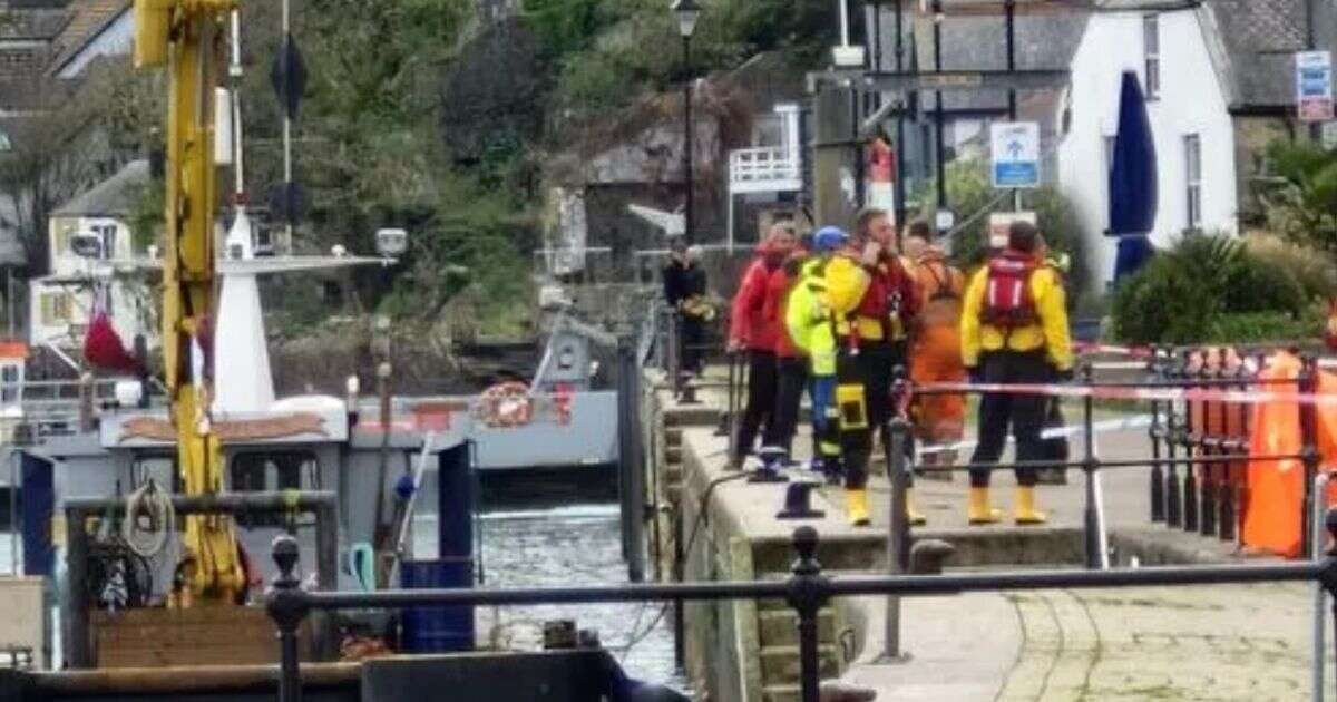 Darmouth: Car plunges into River Dart with driver inside as major rescue operation launched