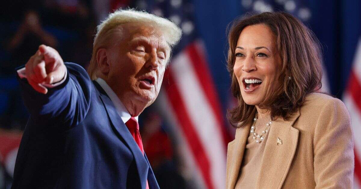 US election timeline: When we'll get results of Donald Trump and Kamala Harris clash