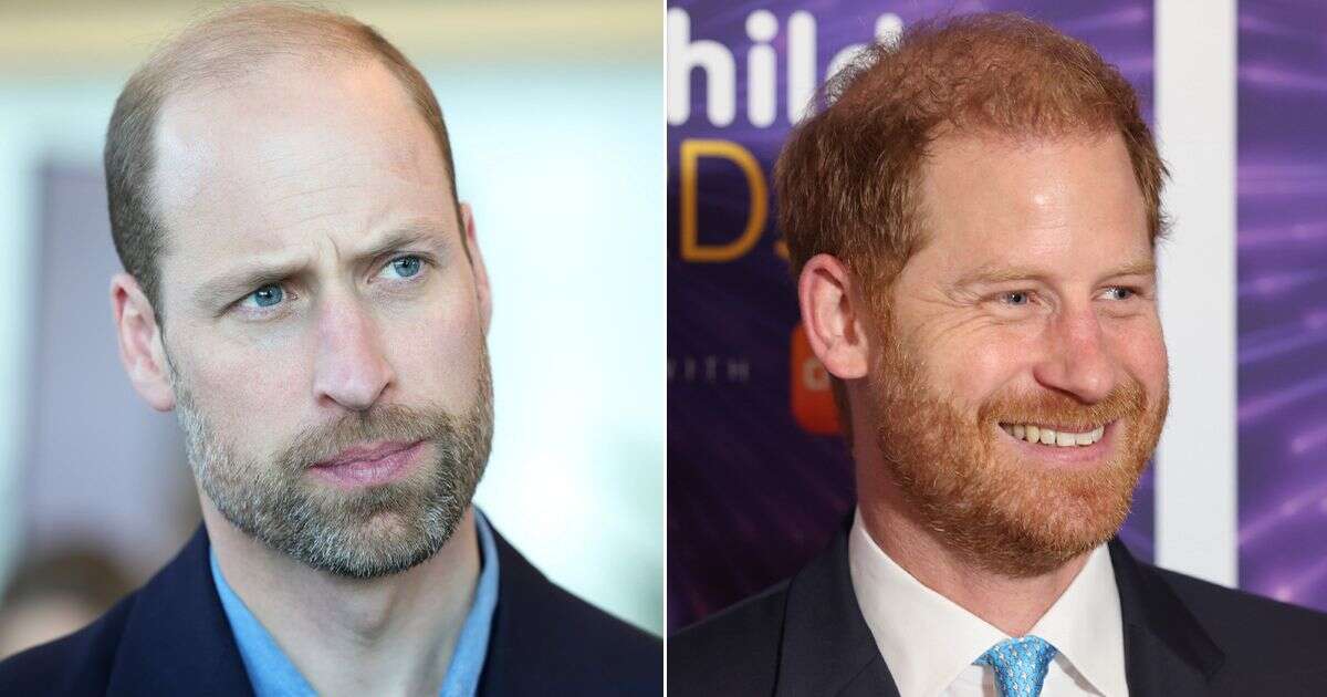 Prince William's 'jealous feud' over Prince Harry's beard after Duke broke protocol