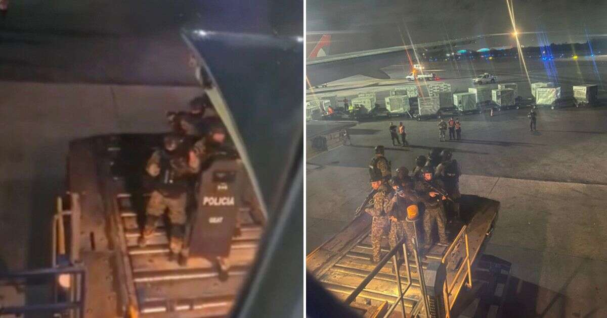 Terrifying moment armed police swarm American Airlines flight 'after banging heard at 30,000 feet'