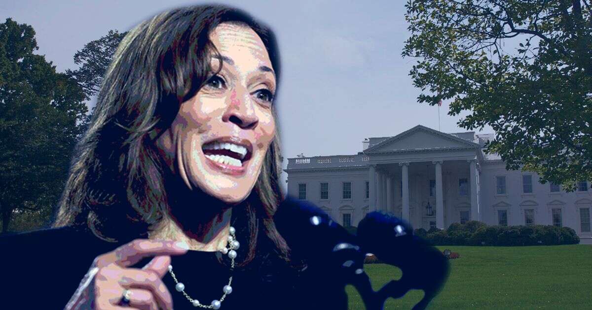 US Election 2024: Kamala Harris' likely pathways to securing Democrat victory