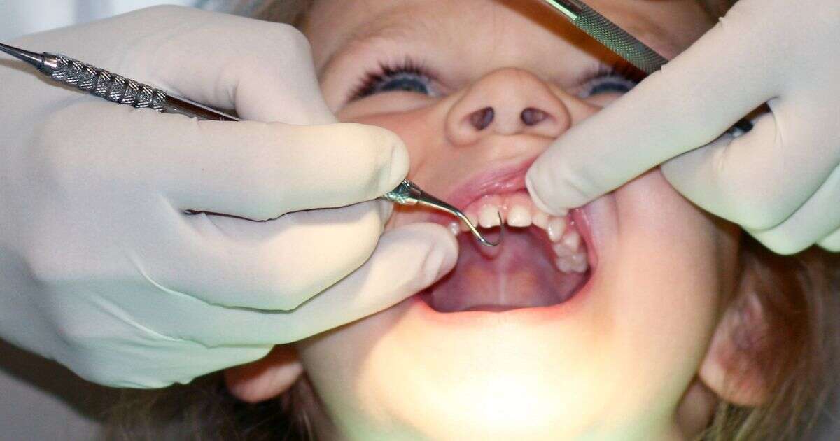 Expert hails surprising food that stops your kids' teeth from rotting