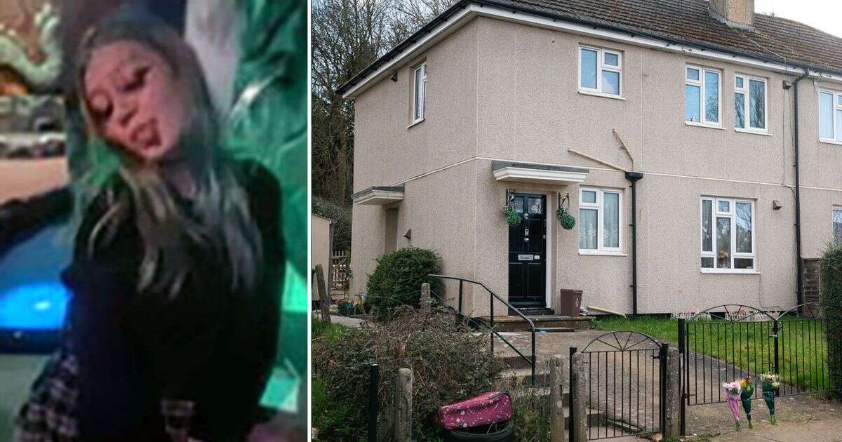 Bristol 'XL Bully' attack: Woman covered in blood screams 'they killed my dog' as teen mauled