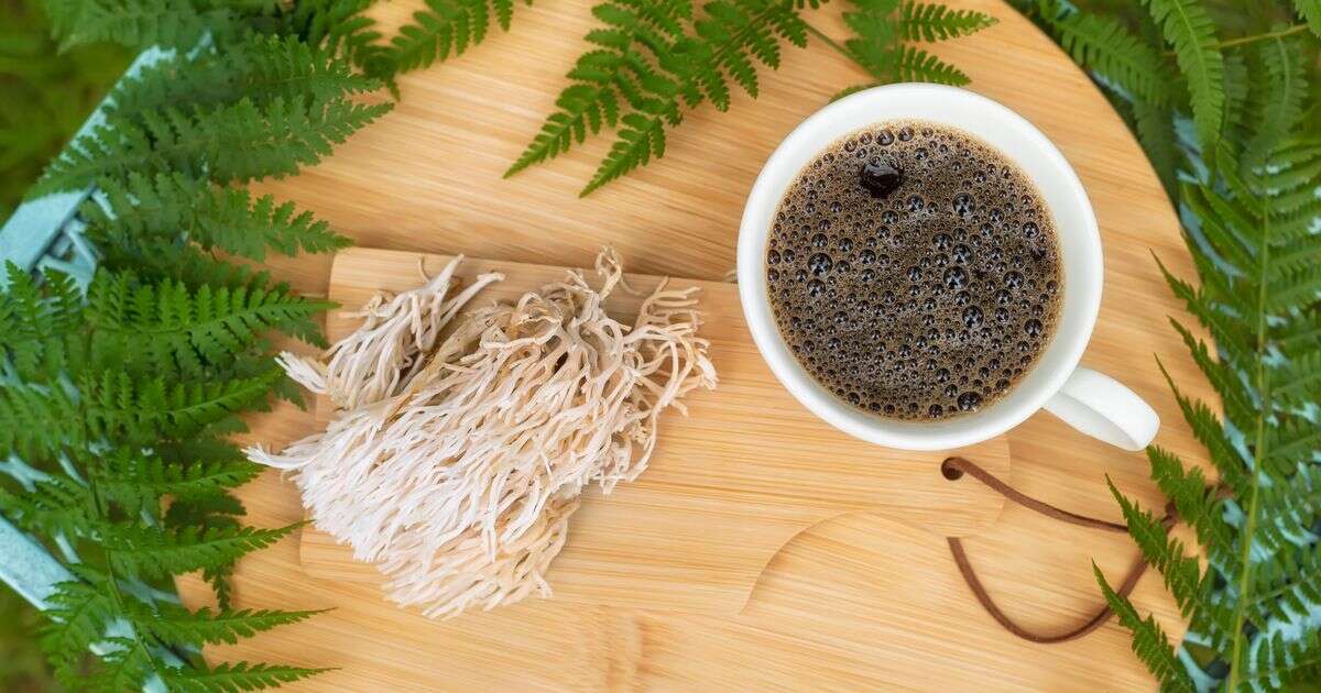 What is Lion's mane? Enormous health benefits of putting the superfood in your morning coffee