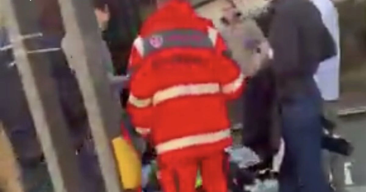 LiveMannheim car incident LIVE: At least one feared dead after SUV ploughs into pedestrians