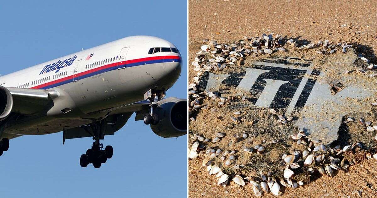 MH370 experts issue 'catastrophic' warning as search for missing airliner under way