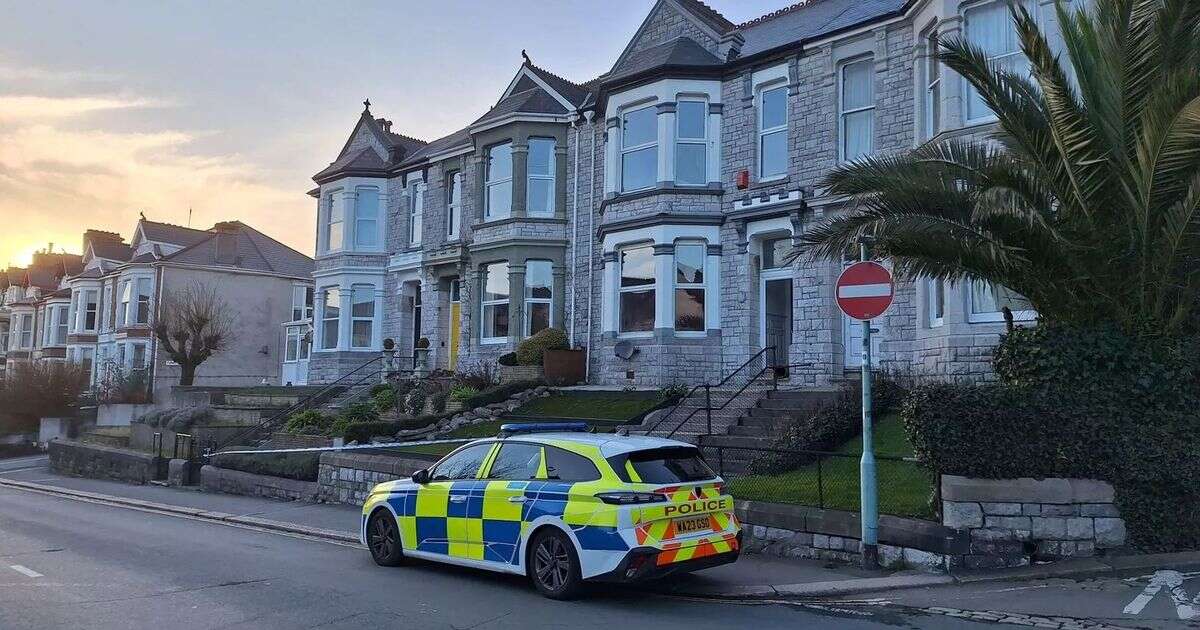 Plymouth manhunt for 'brutal' thugs who broke into man's home and hurled acid over victim