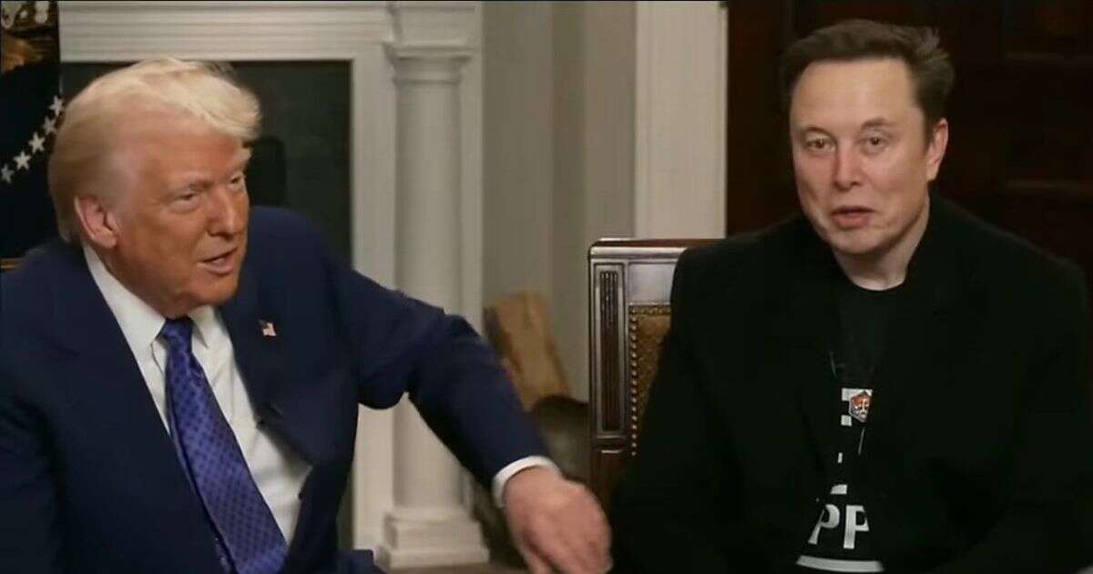 Elon Musk says he 'loves' Donald Trump who's a 'good man' in sycophantic joint Fox interview