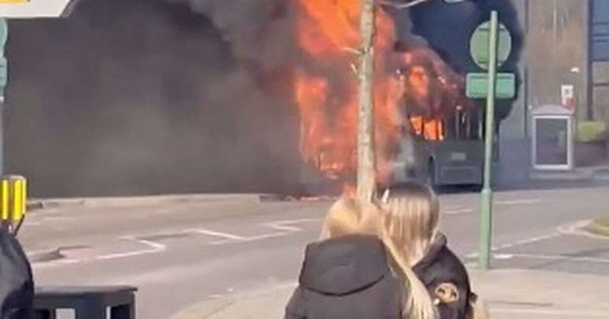 Birmingham bus is ripped apart by massive fire with smoke billowing over city