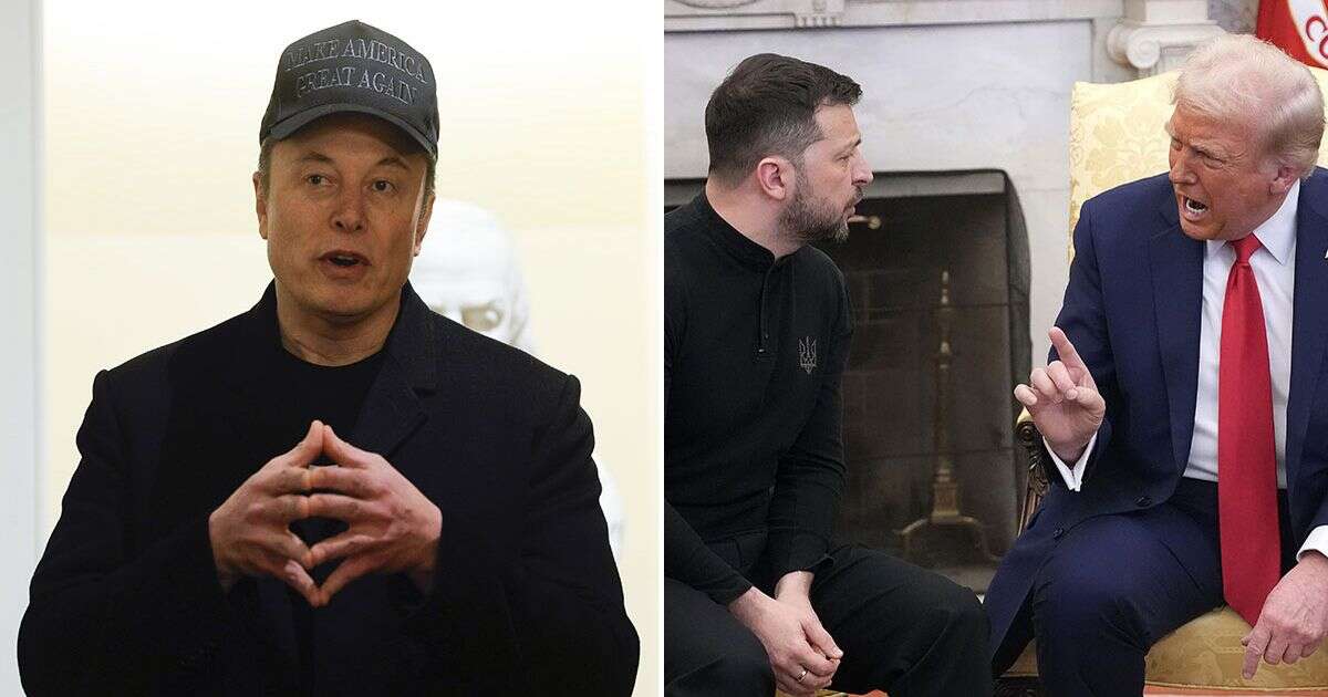 Elon Musk hits out at Zelensky in pointed jab after explosive Donald Trump row