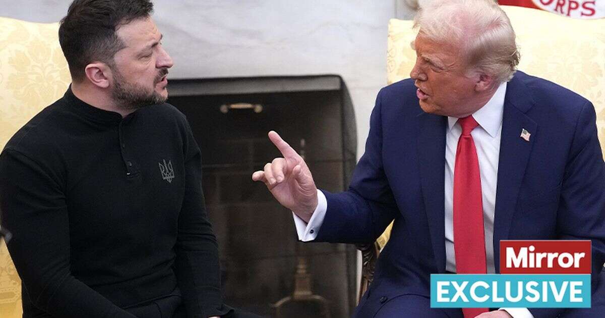 Trump and Zelensky clash decoded by body language expert - knowing wink to curious ending