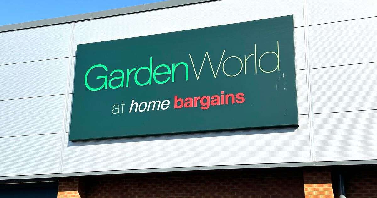 Home Bargains fans 'can't resist' £10 item that 'brings charm to your garden'