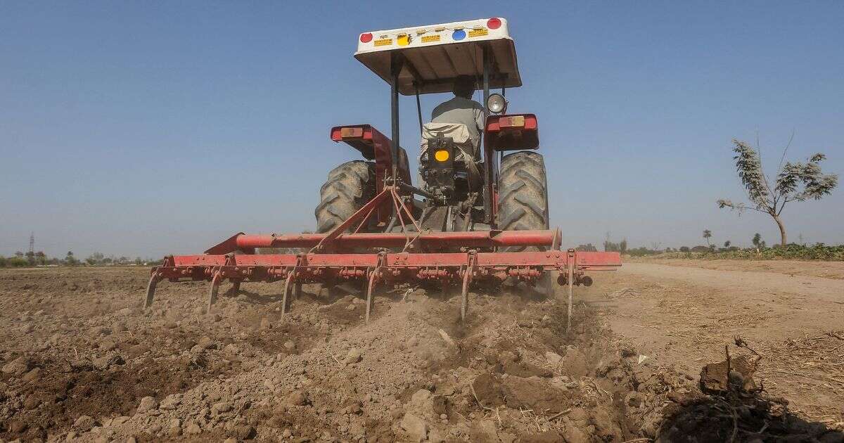 Climate change-fuelled extreme weather 'will raise food prices again this year'