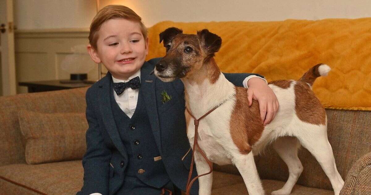 Schoolboy to become Crufts' youngest ever entrant with his 'best friend' pooch