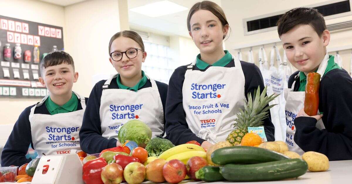 Hungry children helped with Tesco scheme to help kids in poverty