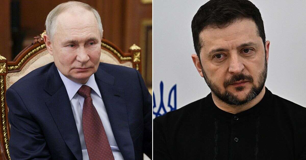 Vladimir Putin will meet Zelensky in peace talks to end Russia-Ukraine war 'if necessary'