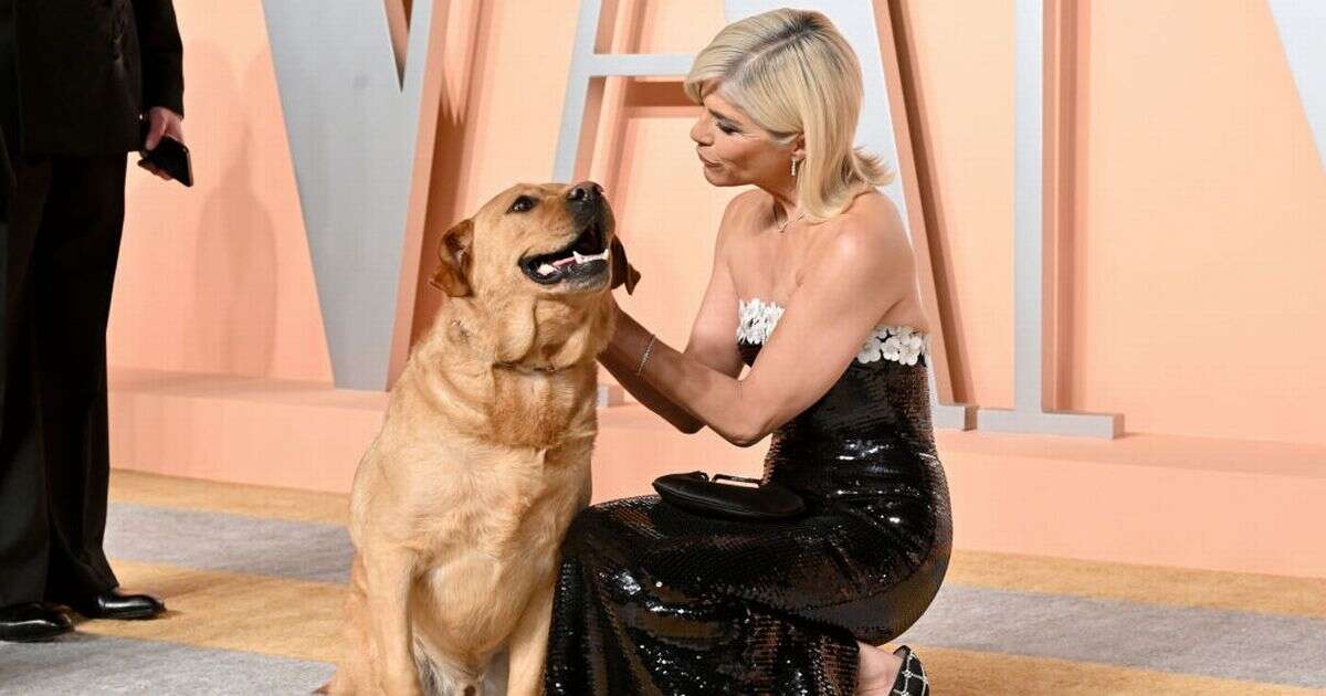 Selma Blair’s health battle explained as service dog steals the show at Oscars after party