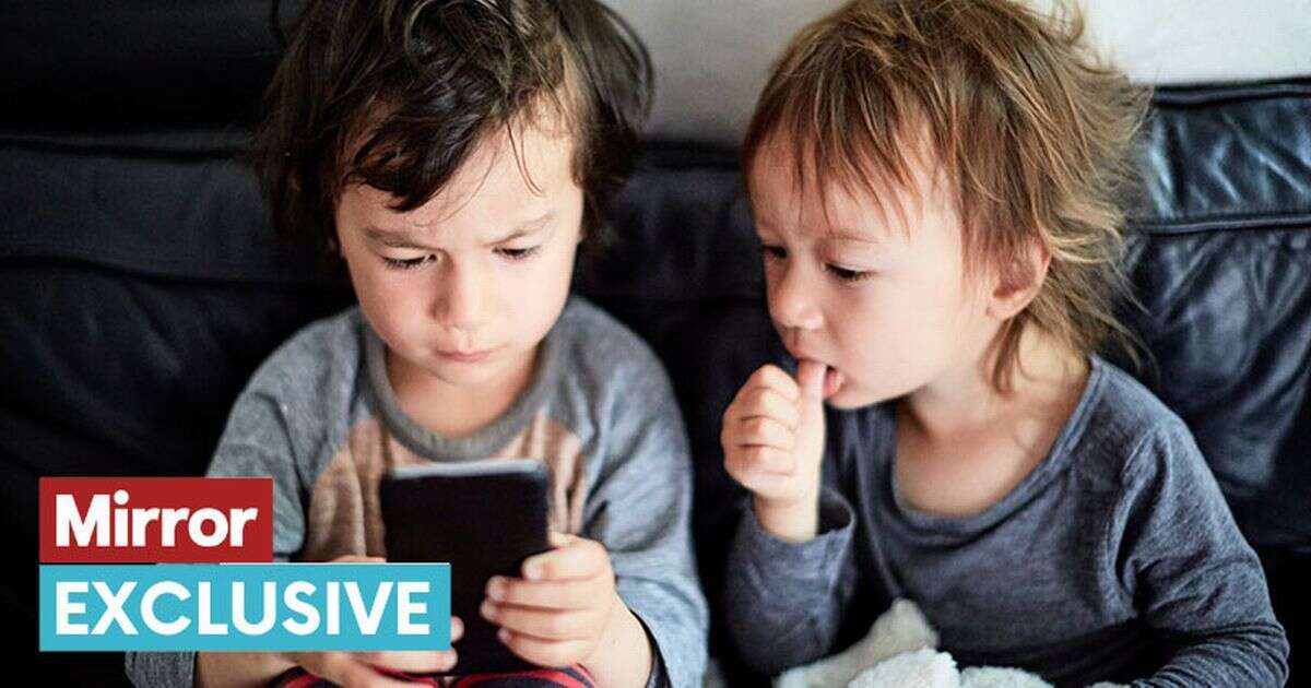 Children risk giving out personal data to strangers so they don't feel excluded