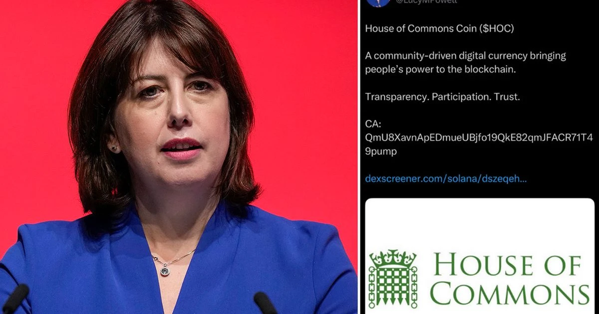 Hackers target House of Commons leader Lucy Powell in sinister scam