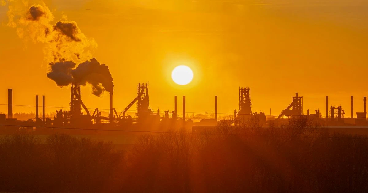 opinionSHARON GRAHAM: ‘Give Britain back control of our nation's vital industries’