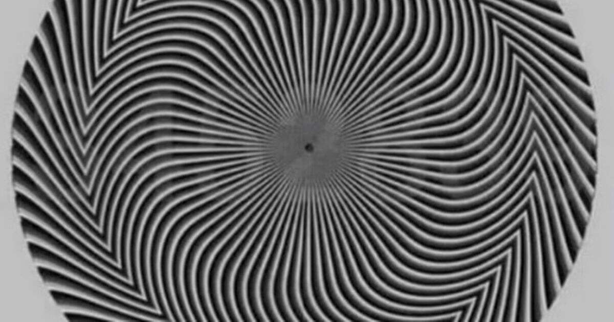 Mind-bending optical illusion shows hidden number - and everyone is seeing it differentlyOptical illusions