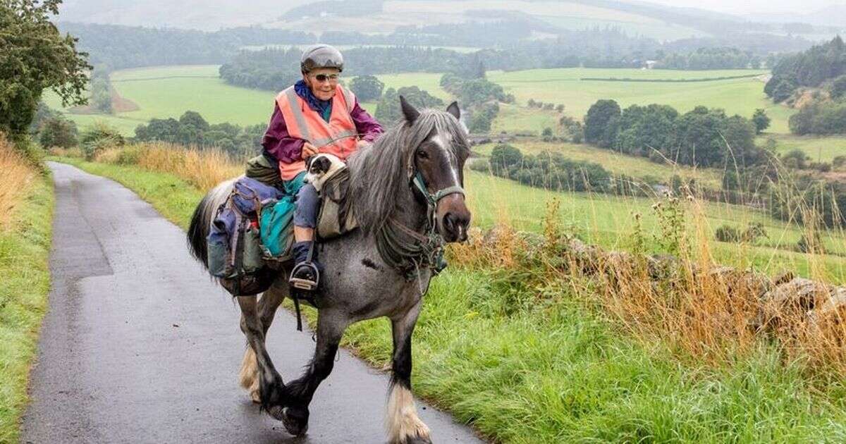 Woman, 82, rides pony 600-miles with her beloved dog in saddlebag beside her