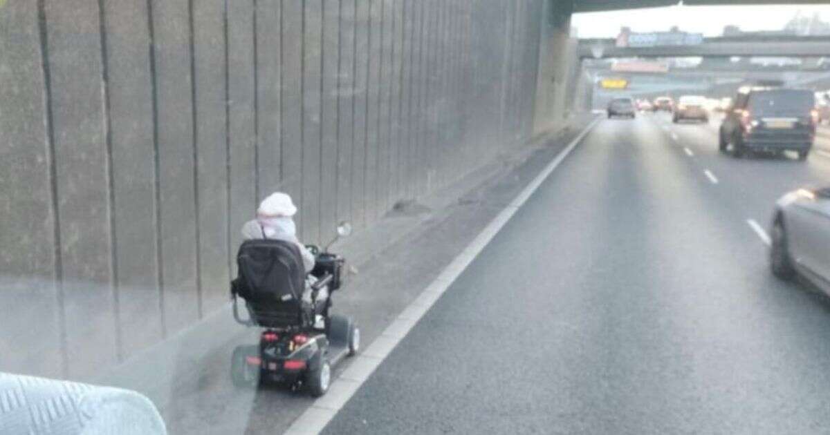 Hero trucker shields pensioner driving mobility scooter on busy stretch of motorway