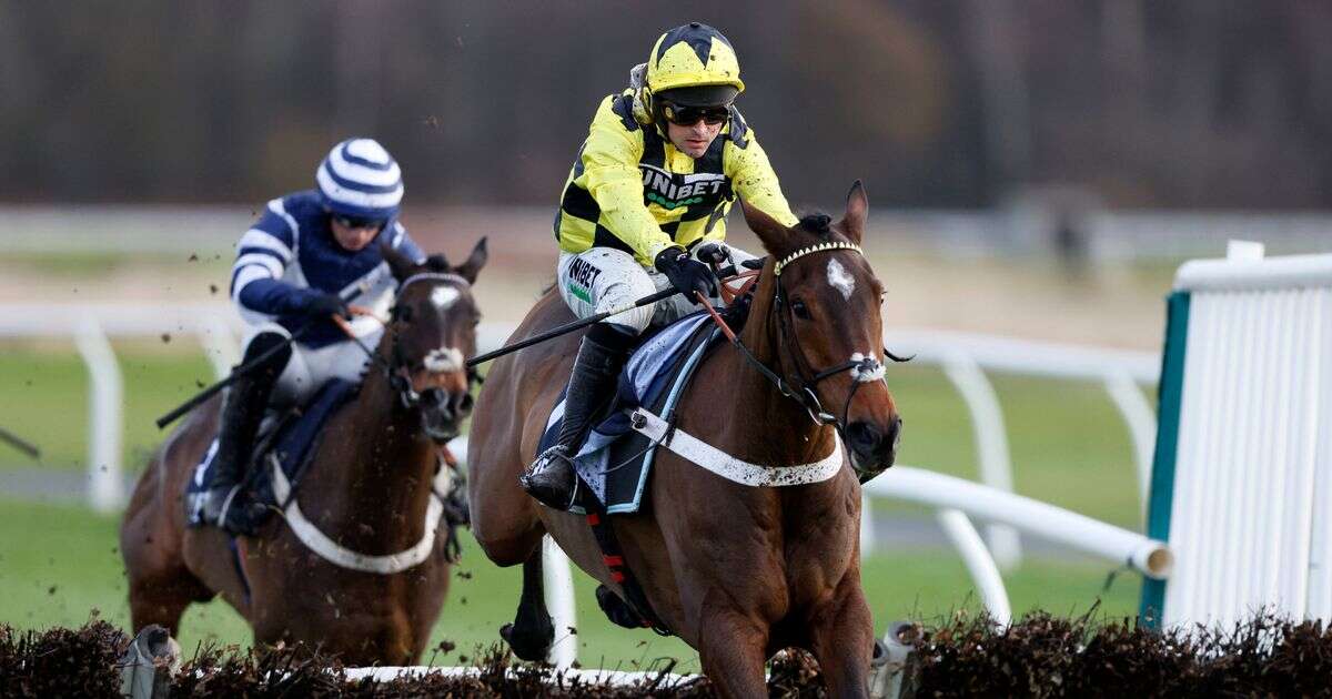 Sir Gino 5-1 for Champion Hurdle after subbing Constitution Hill in style at Newcastle