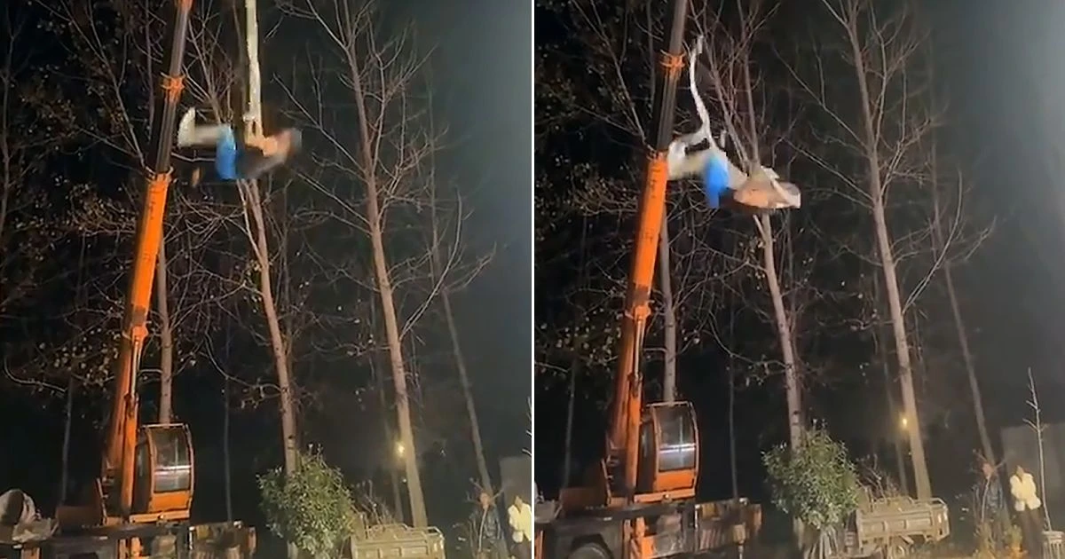 Heartstopping moment acrobat's rope snaps mid-air in same stunt that killed his wife