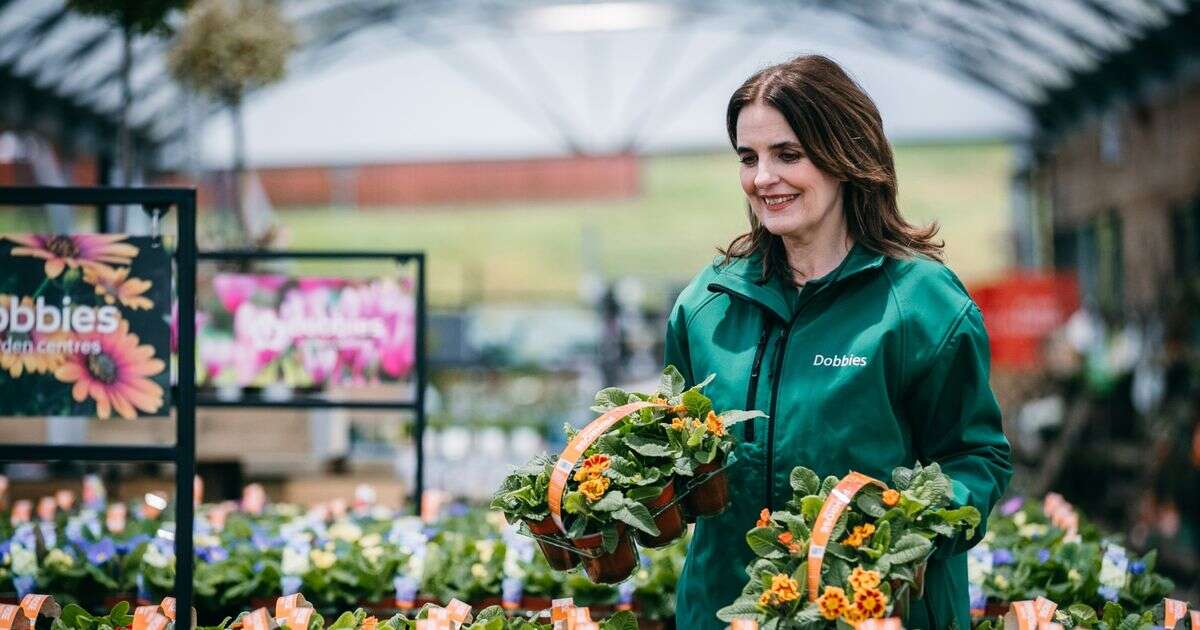 Full list of Dobbies stores staying open as 16 set to close for good by end of year