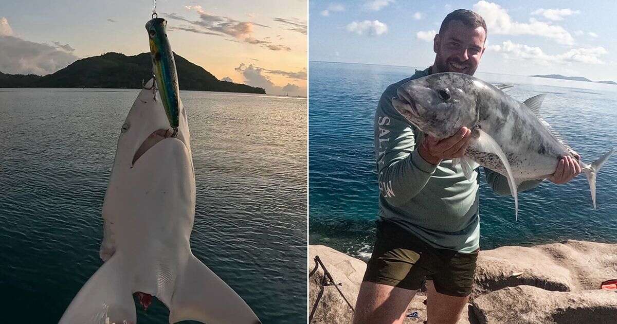 Mystery predator bites shark in half as fisherman battles to reel in beast