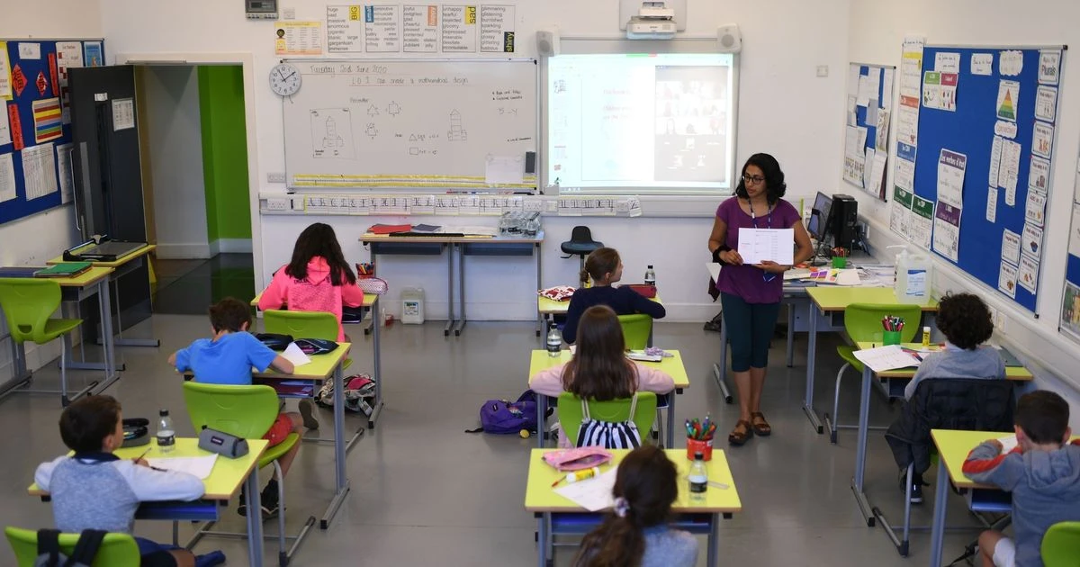 Coroanvirus: Shutting schools 'increases Covid-19 deaths', scientists claim
