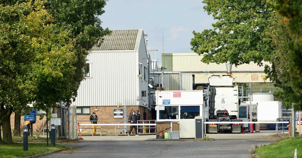 Bernard Matthews tests 1,000 workers for coronavirus 10 weeks before Christmas