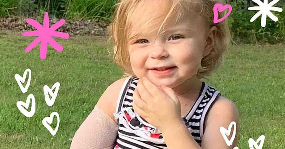 Girl, 2, has arm torn off after putting hand into cage of 'illegal' wolf dog