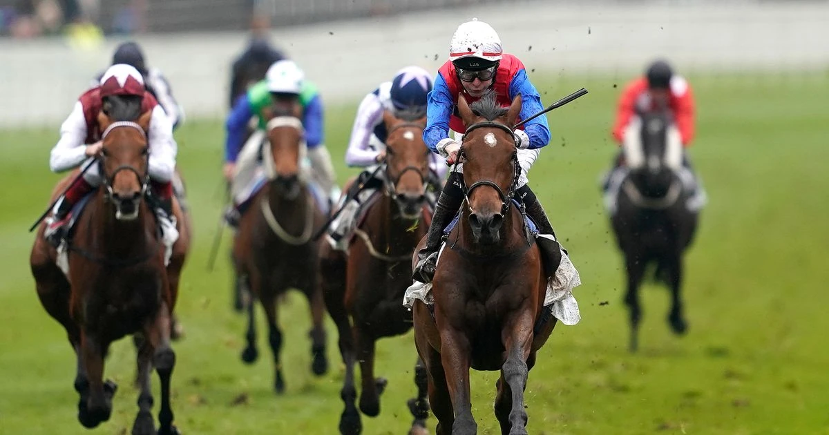 Drug gang led by the 'Badger' spent thousands on spa trips and horse races