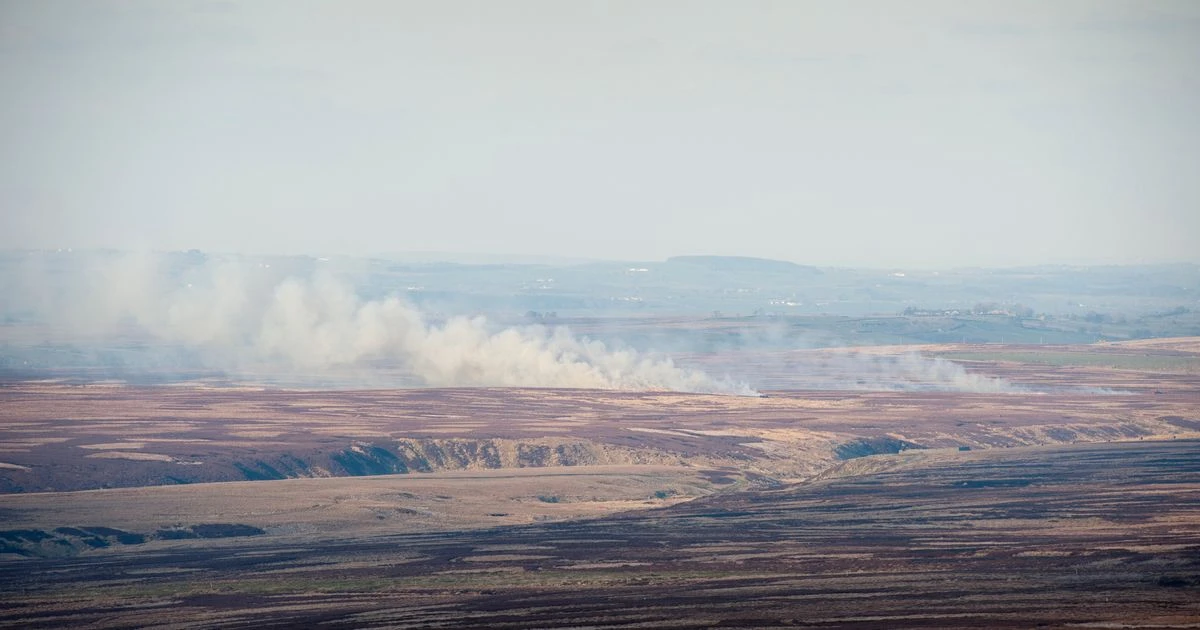 Nada Farhoud: Burning our peatlands is as destructive as torching the Amazon