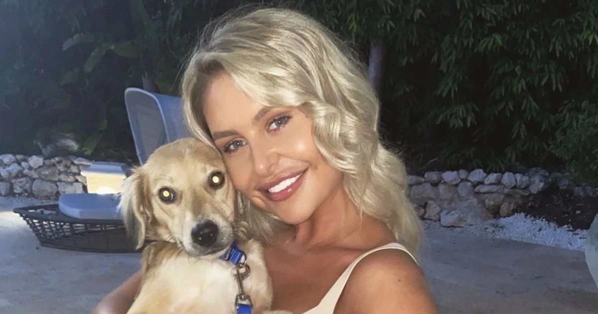 Brit couple pay £3,500 to bring stray dog home after finding him on Barbados roadside