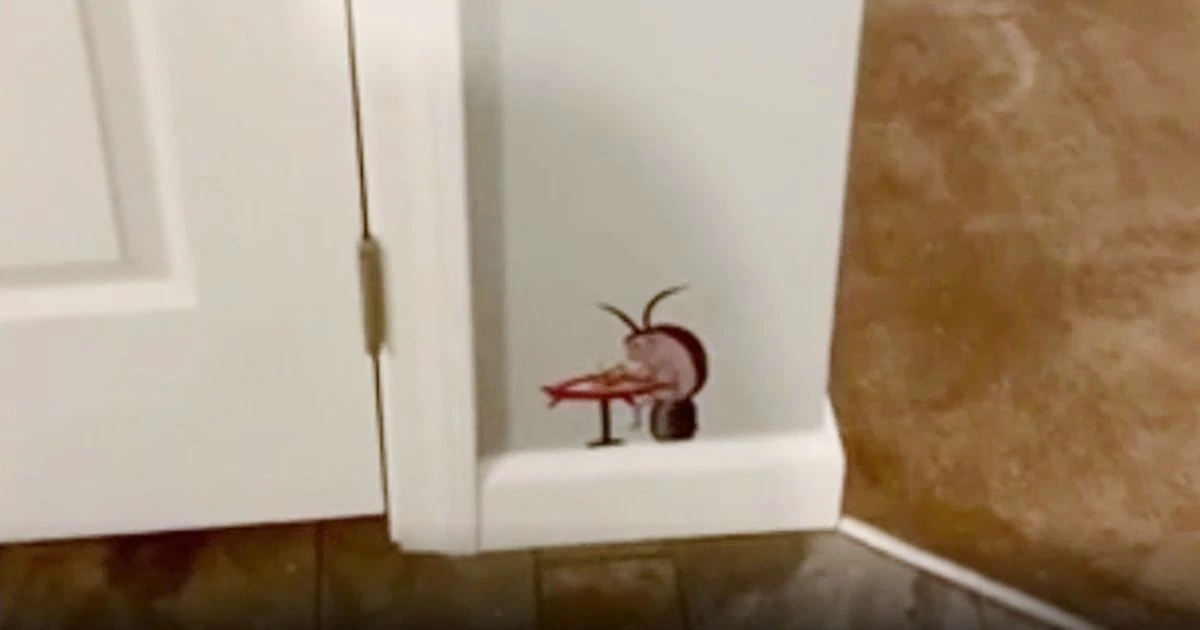 Homeowner leaves 'little presents' for new buyers - but it divides opinion