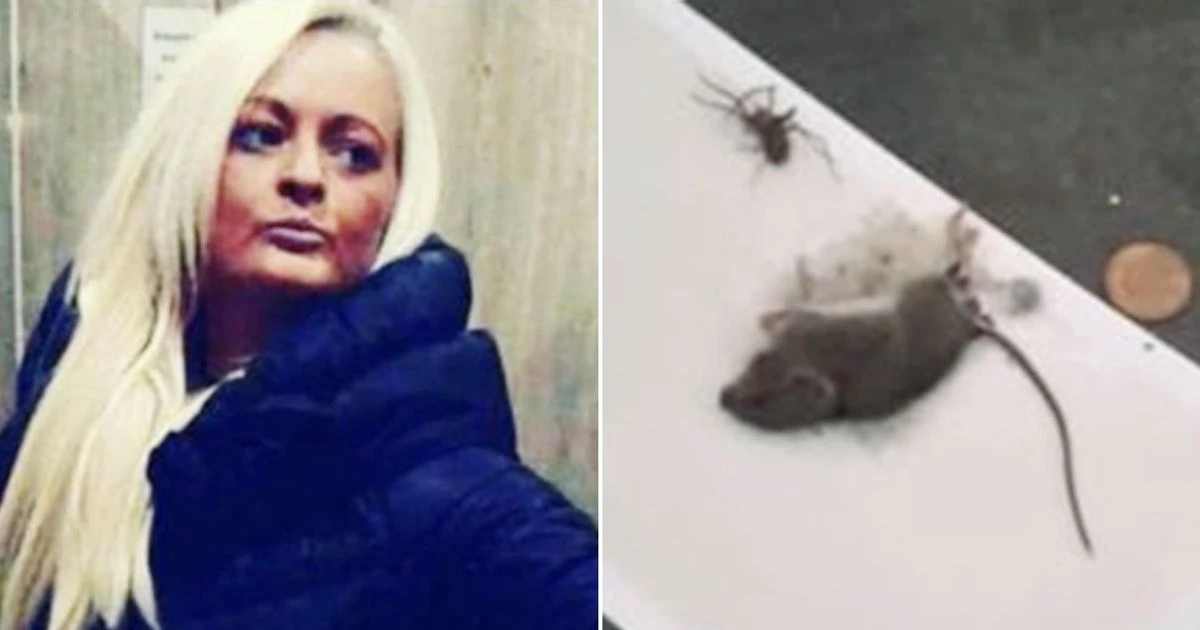 Desperate mum begs council to move her after three homes plagued by rats and mould